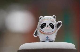 “冰墩墩”、、、“雪容融”商标也抢手，，，，已被成功注册！！！